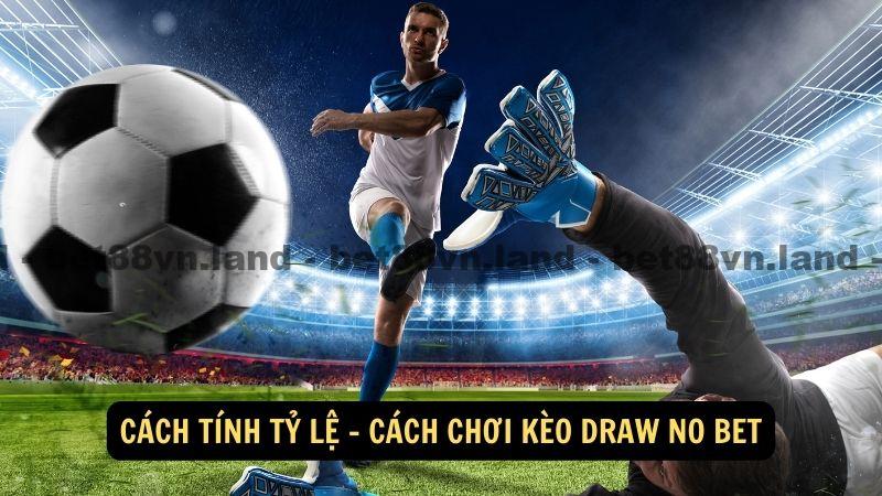 Cách tính tỷ lệ - cách chơi kèo Draw No Bet